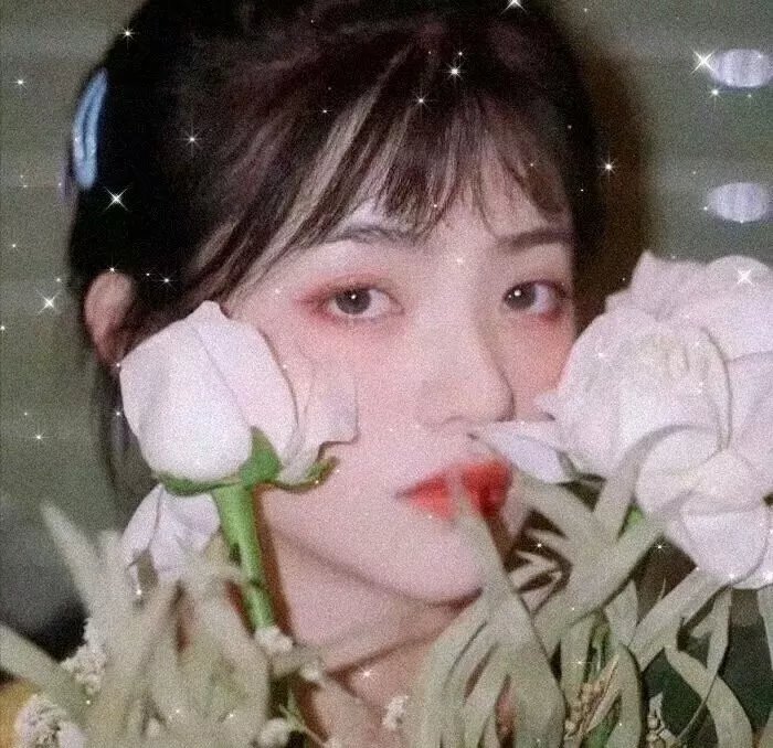 射雕英雄传：侠之大者